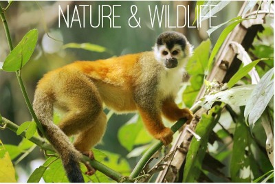 Nature work experience placement internship abroad