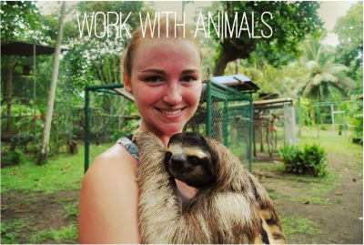Work with animals placement internship abroad