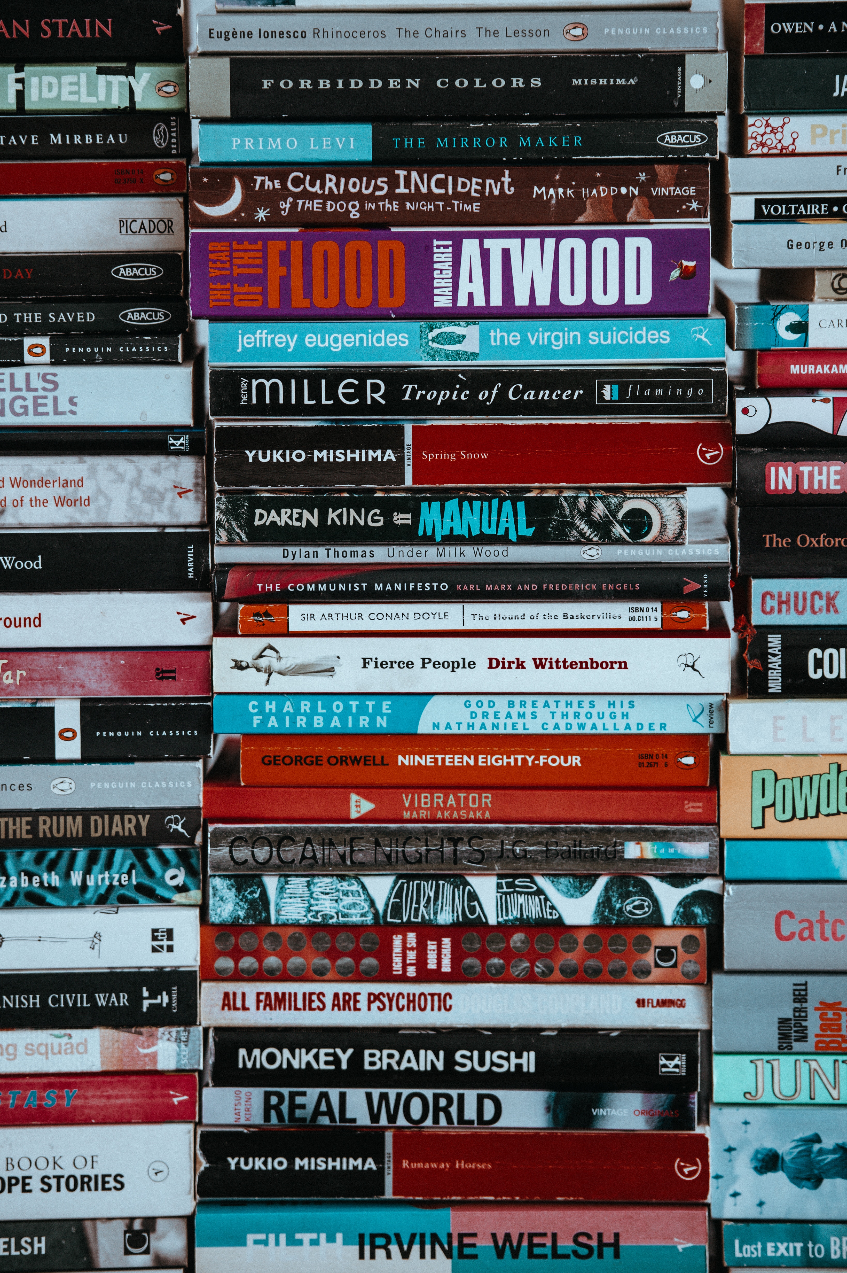 annie-spratt-303944-unsplash
