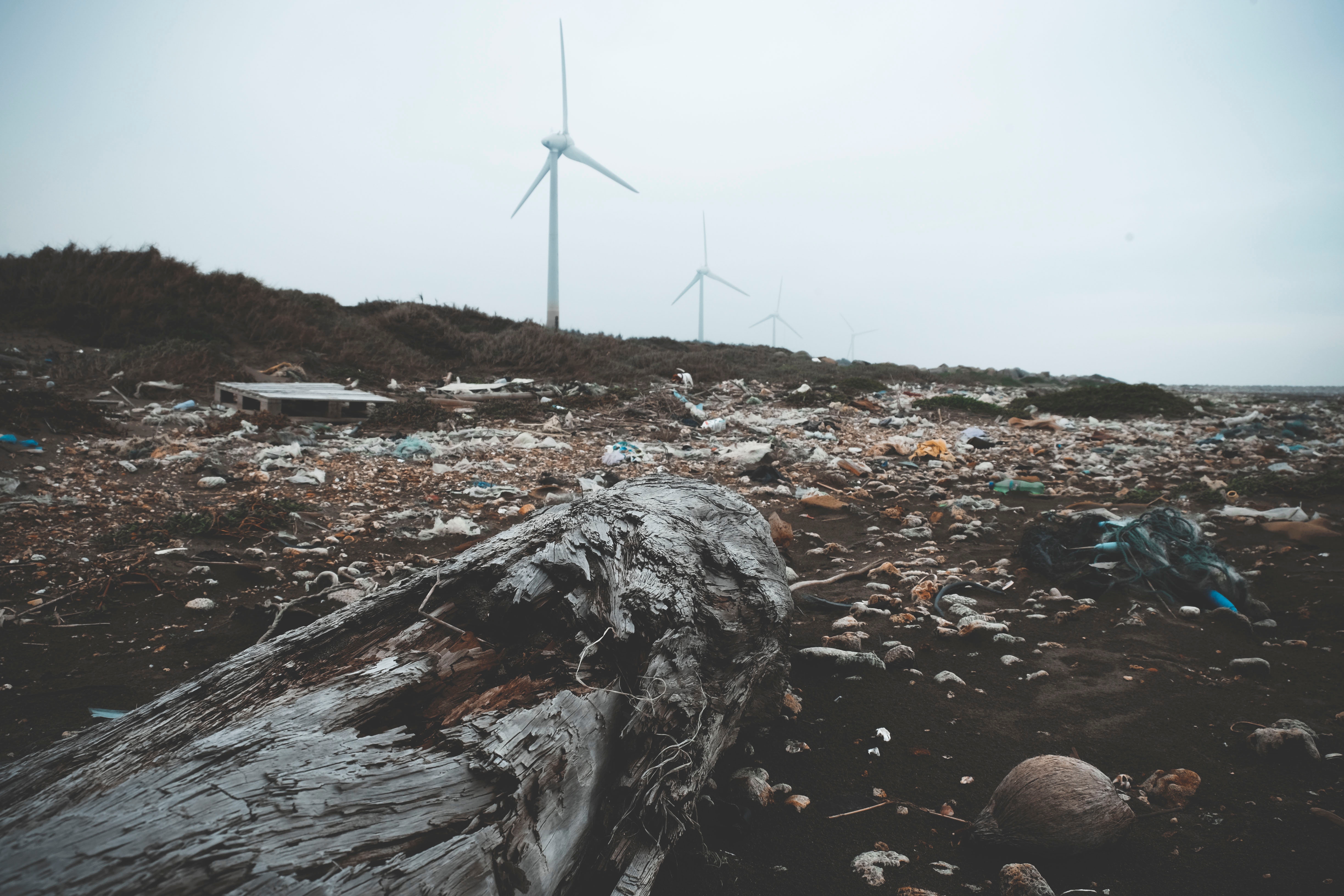 henry-co-652543-unsplash (1)