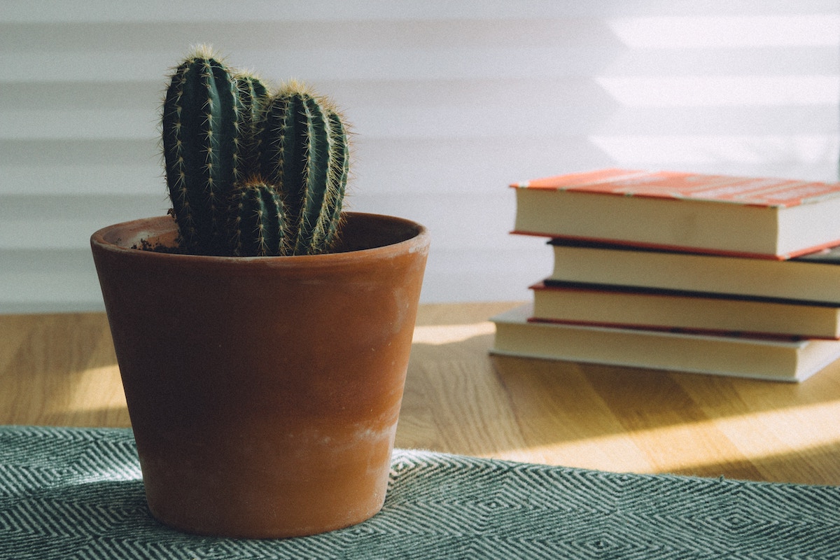 the-bialons-MVCu1JIYuoM-unsplash